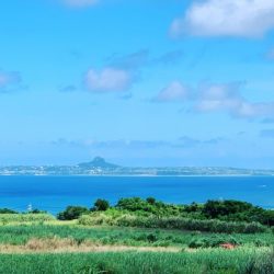 本部釣りイカダ 釣果