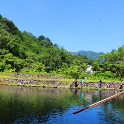 小菅トラウトガーデン 釣果
