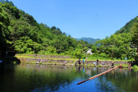 小菅トラウトガーデン 釣果