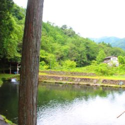 小菅トラウトガーデン 釣果