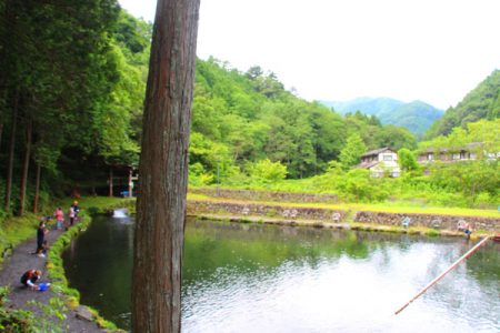 小菅トラウトガーデン 釣果