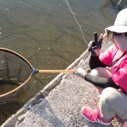 フィッシングレイクたかみや 釣果