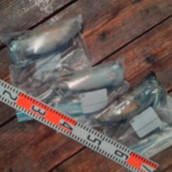 こかわ渡船　雅丸 釣果