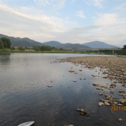 会津大川(会津非出資漁業協同組合) 釣果