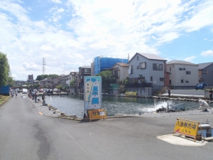 朝霞ガーデン 釣果