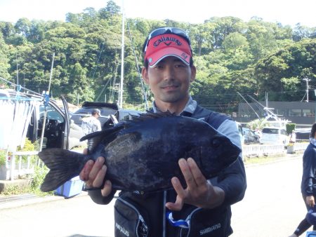 伊豆下田フィッシング 釣果