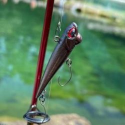 フィッシング サンクチュアリ 釣果