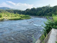 秩父フライフィールド 釣果
