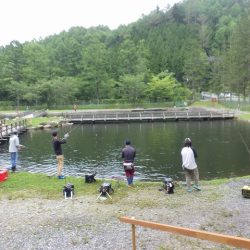 平谷湖フィッシングスポット 釣果