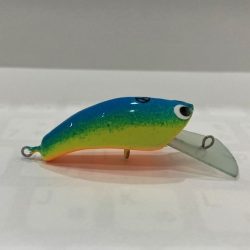 平谷湖フィッシングスポット 釣果