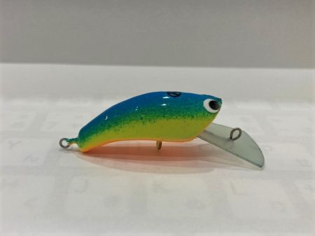 平谷湖フィッシングスポット 釣果