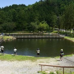 平谷湖フィッシングスポット 釣果