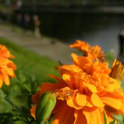 平谷湖フィッシングスポット 釣果