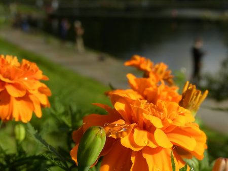 平谷湖フィッシングスポット 釣果