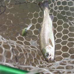 平谷湖フィッシングスポット 釣果