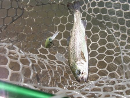 平谷湖フィッシングスポット 釣果