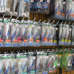 平谷湖フィッシングスポット 釣果