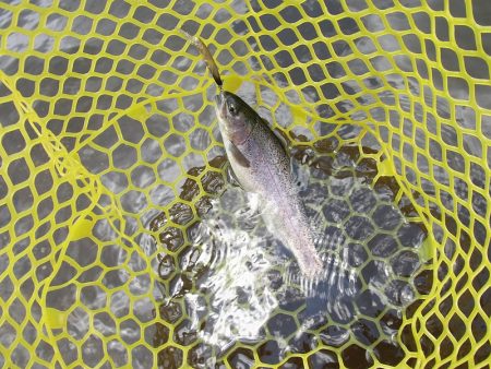 平谷湖フィッシングスポット 釣果