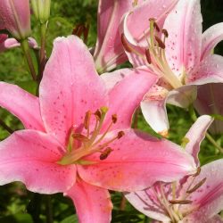 平谷湖フィッシングスポット 釣果