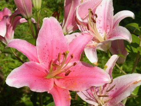 平谷湖フィッシングスポット 釣果