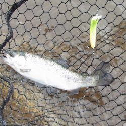 平谷湖フィッシングスポット 釣果