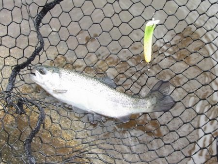 平谷湖フィッシングスポット 釣果