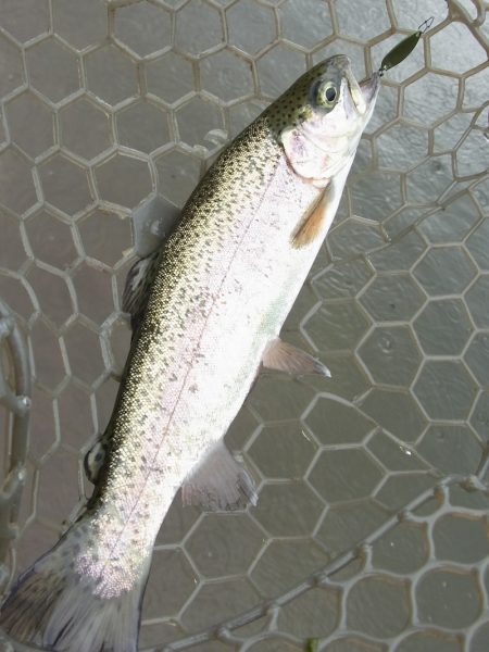 平谷湖フィッシングスポット 釣果