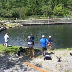 平谷湖フィッシングスポット 釣果