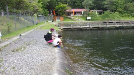 平谷湖フィッシングスポット 釣果