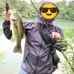 バンクフラッター