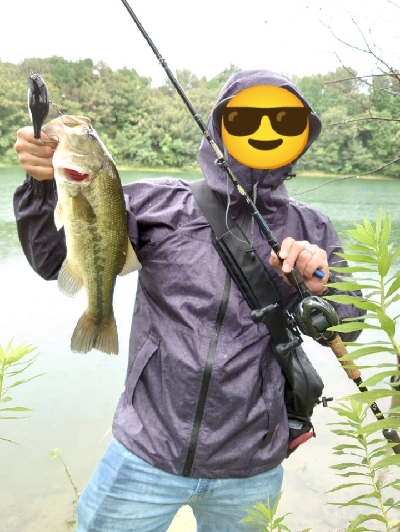 バンクフラッター