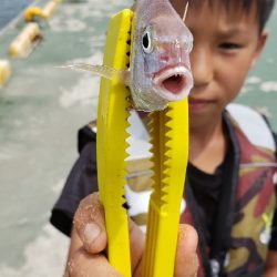 釣りは楽しい！