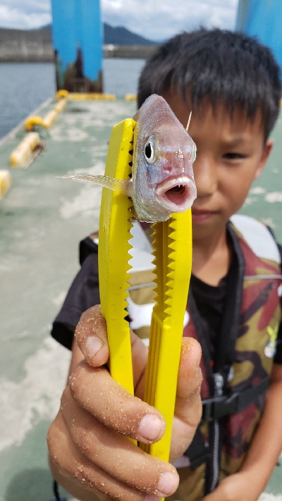 釣りは楽しい！