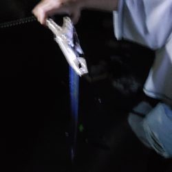 んーまだまだ渋い。