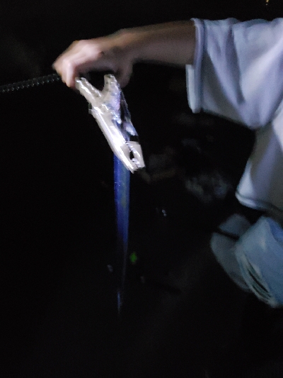 んーまだまだ渋い。