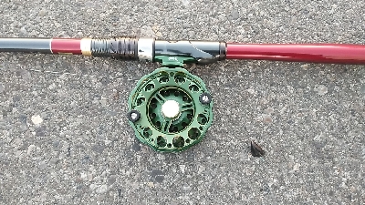 イガイやフジツボでも釣れました