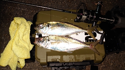 ここは休日は釣り堀状態ですね。