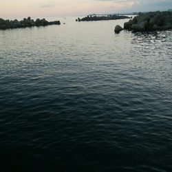 キジハタ2匹、カサゴ1匹！小アジ