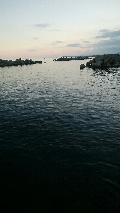 キジハタ2匹、カサゴ1匹！小アジ