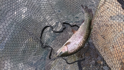 川場フィッシングプラザでルアー釣り