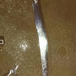 源一郎の鱗付けしたくて…超満員のマリーナ(*_*)