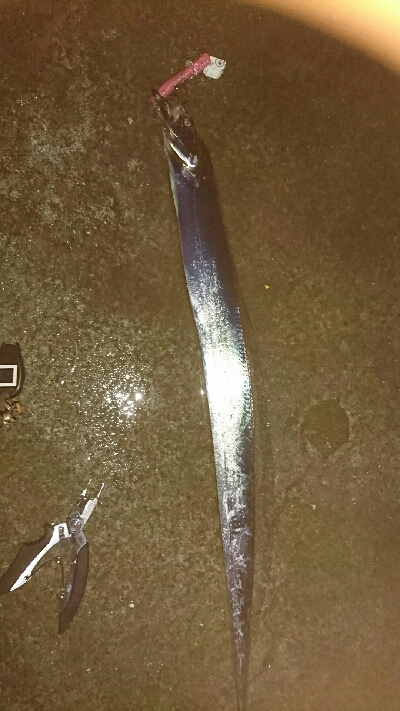 源一郎の鱗付けしたくて…超満員のマリーナ(…