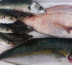 久しぶりの雨上がり