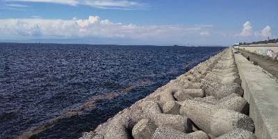 ゆうまづめショアジギでアコウ