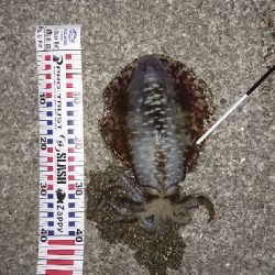 久しぶりに、行ってきました。