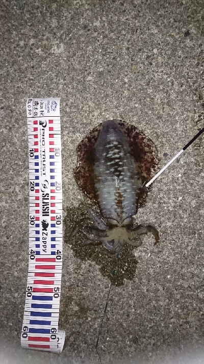 久しぶりに、行ってきました。