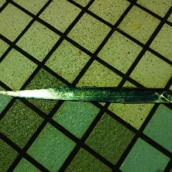 何か釣れないかな釣行