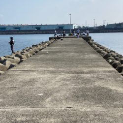 キス釣り、ちょい投げ