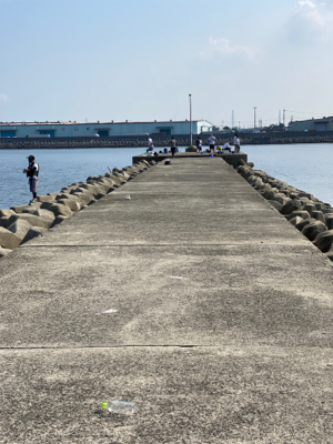 キス釣り、ちょい投げ