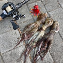 HC蛸散歩。何とか3杯。。